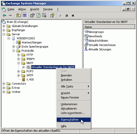 Virtueller NNTP-Server - Eigenschaften