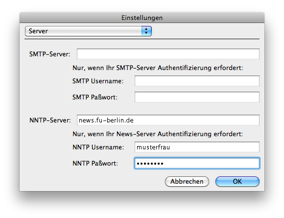 Einstellungen Server - Eingabe des Newsservers und der Nutzerdaten